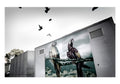 Fake and real birds in an amusement park