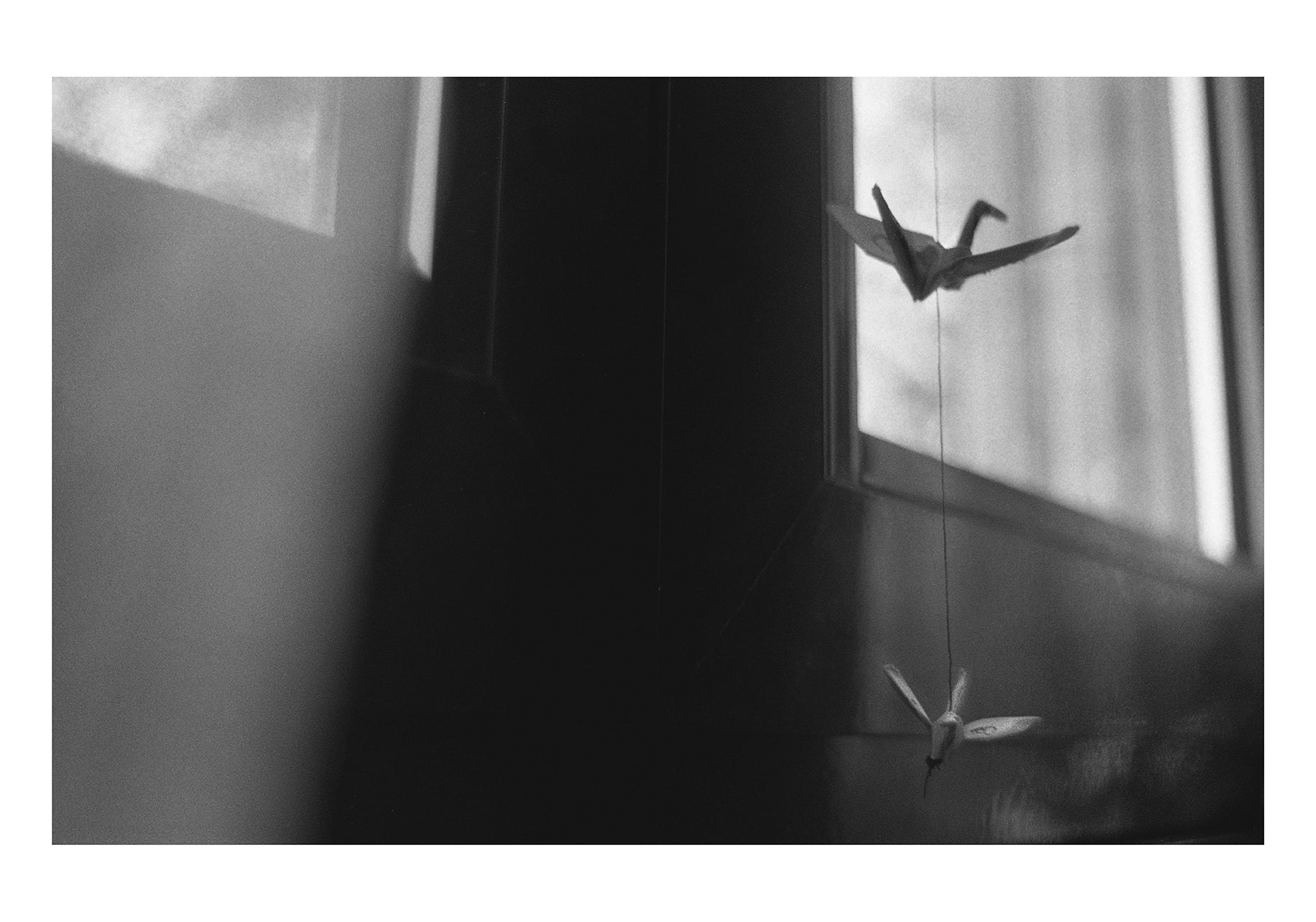 Two origami birds in a Rubiães albergue