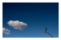 Statue and clouds